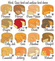 queijos duros, semiduros e médios. tipos de queijo desenhados à mão com características de cada tipo. vetor