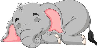 elefante bebê dos desenhos animados dormindo vetor