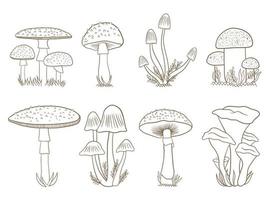 ilustração de design vetorial de cogumelos isolada no fundo branco vetor