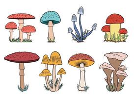 ilustração de design vetorial de cogumelos isolada no fundo branco vetor