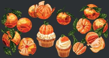 conjunto de mandarinas desenhadas à mão. grupo de tangerinas, bolo doce vetor