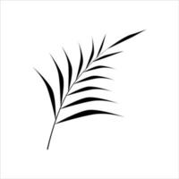 silhueta negra de ramo de palmeira abstrata. isolado no fundo branco. ilustração vetorial elegante. vetor