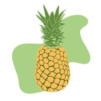 abacaxi com ícone de folha em fundo abstrato mancha verde. frutas tropicais simples desenhadas à mão. ananas de alimentos saudáveis de vitamina exótica de verão. ilustração em vetor conceito plano abstrato
