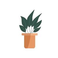 plantas da casa no vaso. plantas caseiras desenhadas à mão em vasos. ilustração de plantas isolada no fundo branco. vetor