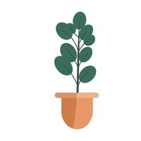 planta de casa desenhada à mão em vasos de plantas decorativas para casa e escritório vector plana. ilustração de plantas isolada no fundo branco.