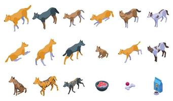 ícones de dingo de cão selvagem definir vetor isométrico. filhote de américa
