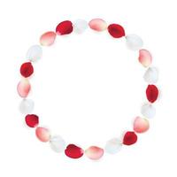 moldura redonda feita de pétalas de rosa. pétalas brancas, vermelhas e rosa dispostas em um círculo.