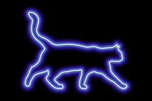 gato azul neon em um fundo preto. o gato anda com a cauda levantada. ilustração vetorial vetor