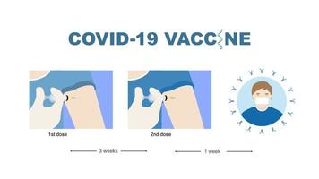 ilustração de injeção de vacina em duas doses e um homem com anticorpo contra covid-19. vetor