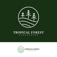 modelo de vetor de design de logotipo de árvore de pinho, ilustração de conceitos de logotipo de floresta tropical.