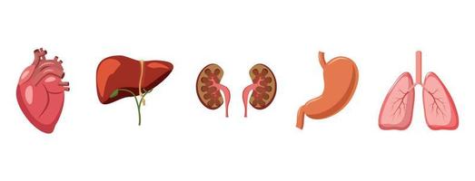 conjunto de ícones de órgãos humanos, estilo cartoon vetor