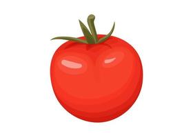 ilustração vetorial de tomate fresco vetor