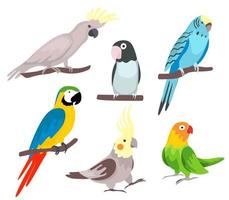 ilustrações de papagaios de desenhos animados fofos vetor