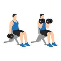 homem fazendo exercício de bíceps com halteres sentado. ilustração vetorial plana isolada no fundo branco vetor