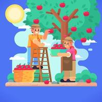 um casal colhendo maçãs em um pomar de maçãs vetor