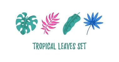 conjunto de folhas tropicais desenhadas à mão isoladas em branco vetor