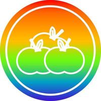 pilha de maçãs circulares no espectro do arco-íris vetor