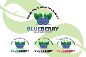 ilustração vetorial de logotipo de frutas de mirtilo frutas frescas azul roxo, disponível no mercado pode ser para suco de frutas ou para a saúde do corpo, design de impressão de tela, adesivo, banner, empresa de frutas vetor