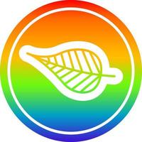 folha natural circular no espectro do arco-íris vetor