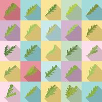 ícones de rúcula definir vetor plana. salada de folhas
