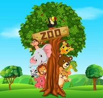 coleção de animais do zoológico com guia vetor