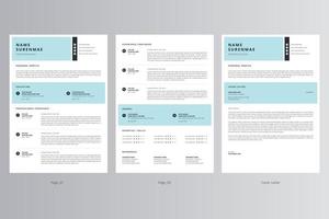 currículo profissional e modelo de carta de apresentação. vetor profissional