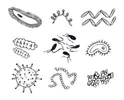conjunto de germes de doodle desenhados à mão, bacilos e estreptococos. ilustração em vetor coleção de organismos microscópicos e vírus isolados no fundo branco.