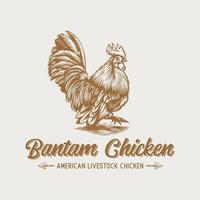 logotipo desenhado à mão de galo de galinha bantam retrô vintage vetor