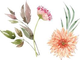 conjunto de ilustrações em aquarela de flores e plantas cor de rosa.