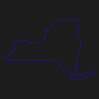 mapa de nova york ilustrado vetor