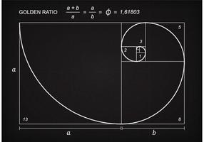 Vector de esquema de proporção Golden Ratio