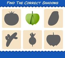 encontre as sombras corretas do tomatillo dos desenhos animados. jogo de busca e correspondência. jogo educativo para crianças e bebês da pré-escola vetor