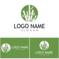 modelo de logotipo de bambu ilustração vetorial ícone design vetor