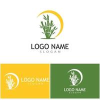 modelo de logotipo de bambu ilustração vetorial ícone design vetor