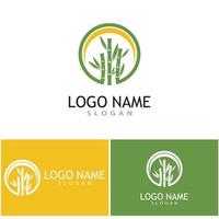 modelo de logotipo de bambu ilustração vetorial ícone design vetor