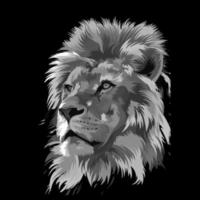 ilustração vetorial de um leão de arte pop cinza vetor