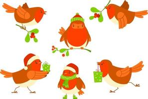 conjunto de pássaros de natal. ilustração vetorial de pisco de peito vermelho vetor