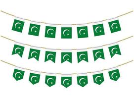 bandeira do Paquistão nas cordas em fundo branco. conjunto de bandeiras de estamenha patriótica. decoração de estamenha da bandeira do Paquistão vetor
