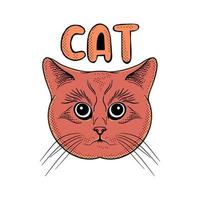 ilustração colorida de doodle de gato vintage para design de camiseta de cartaz de tatuagem de adesivo etc vetor