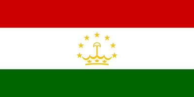 ilustração plana da bandeira do tajiquistão vetor