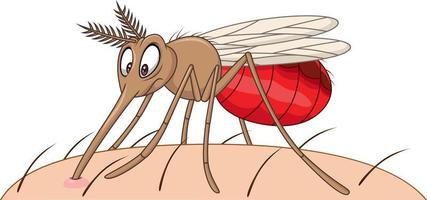 mosquito dos desenhos animados sugando sangue vetor