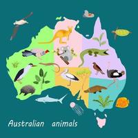 paisagem australiana. plantas, animais e árvores. vetor