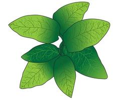 folhas verdes pintadas brilhantes, podem ser usadas para impressão de roupas, cartões postais e para diversos fins vetor
