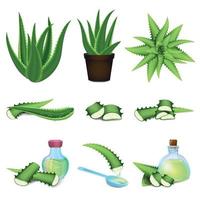 conjunto de ícones de aloe, estilo cartoon vetor