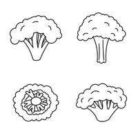 conjunto de ícones de planta de brócolis, estilo de contorno vetor