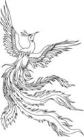 desenho vector phoenix contorno asiático