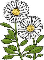 clipart dos desenhos animados da flor da margarida do leucanthemum vetor