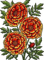 clipart colorido de desenho de flor de calêndula vetor