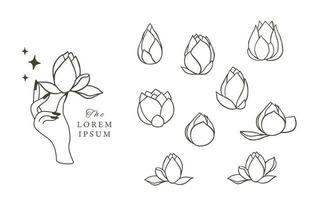contorno de flor de lótus preto.ilustração vetorial para ícone, adesivo, imprimível e tatuagem vetor