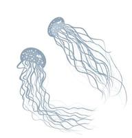 conjunto de medusas. animais marinhos vetor